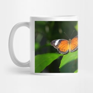 Orange Lacewing Butterfly Mug